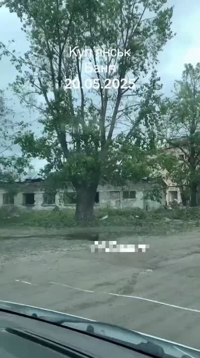 �������, ��. �����������. 20.05.2025. ��� ����� ������ ������ ���� ����� ������