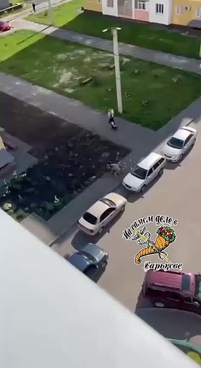 ����� ����, 29. �� ��� ���������� ���������� �������� ��������, �� ������������ �������� ��������� ����������