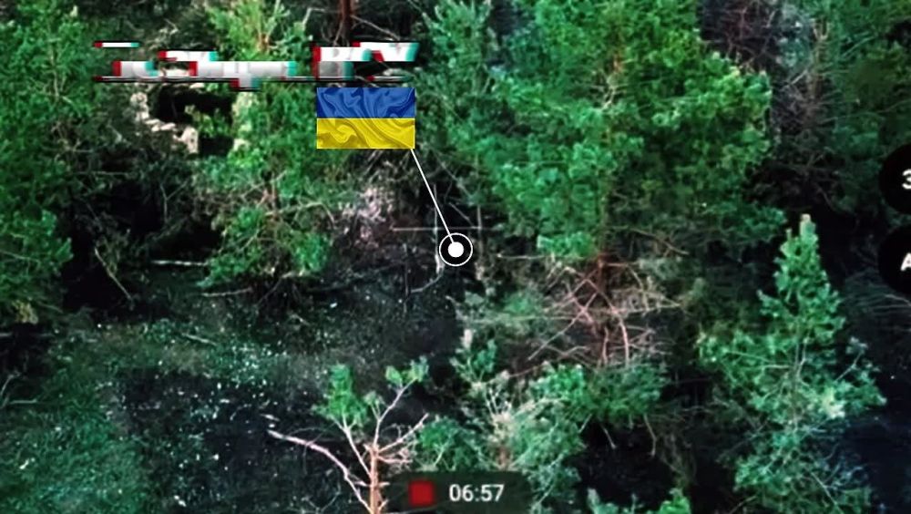 ��������� ���������. ������ ���� 41 ��� 44 �� ��������� � ��������� ��������� ������� ���������� ������������� � ����������� �������