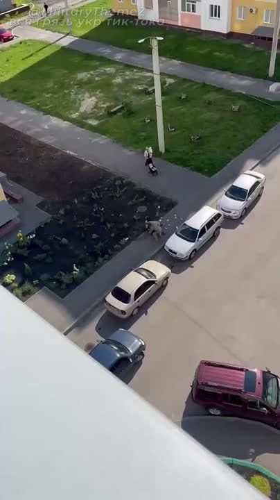 ��������� ������� ��������������� ������ � ��������