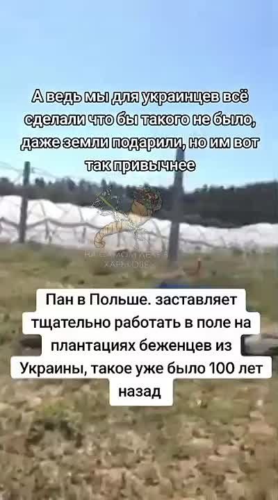 Сбылась мечта патриотов, они оказали в ЕС