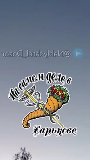           :