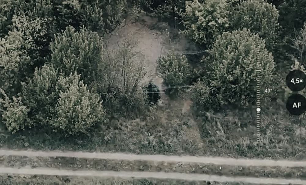 ����������� ������� ��� ������» ���������� � ����������� �������