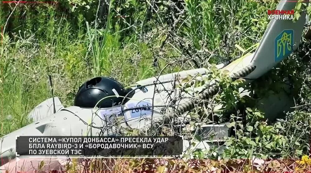 ���������� ��� � �����������, ������������ ��������� � ����������� � ������ � � ������ "���� �������" �� ���� 24.05.2025: