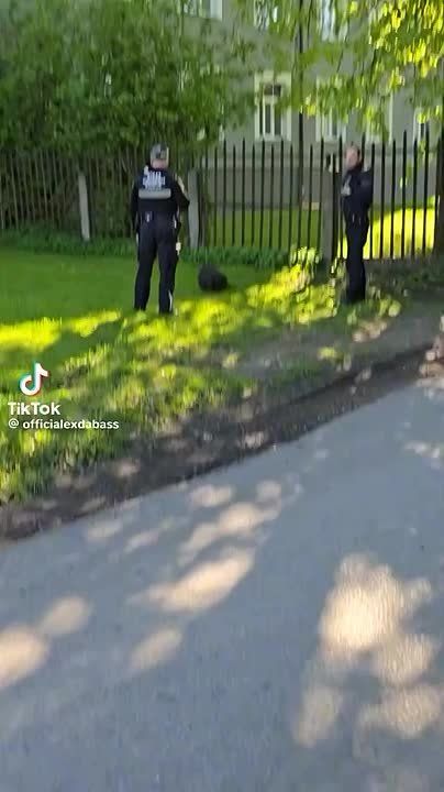 ������� ������� ���������� �����