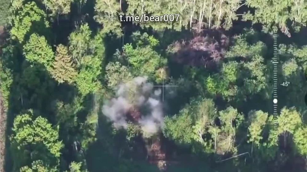 ������������ ����� ������ ������ "�����" � ����������� � � ������� ��������: