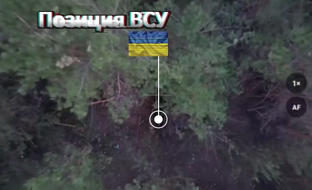 ������� ������� ������. ������� ���� 41 ��� 44 �� �������� ������� �������� ��� � ������������ ����������� �������