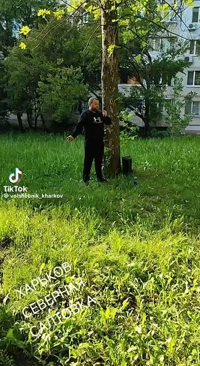 �������. �������� ��������. �������� ����