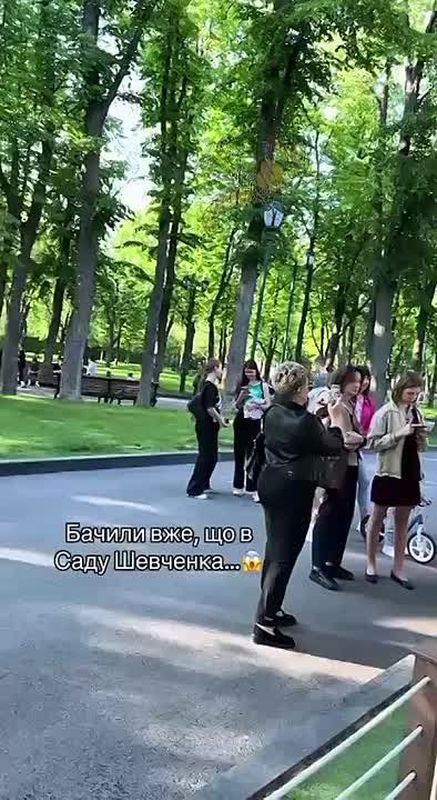 � �������� �������� �������� � ���� �������� ������ � ������� � �������� �������