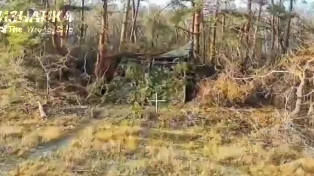 ����������� ������ ���������� ��������� �� ��������� ����������� � �������� ����� ����������� ������� ��������� ��� � ������ ����������� ��� ���������