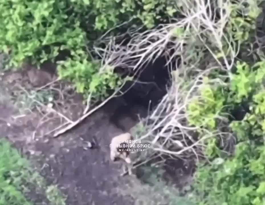  :   .         - 