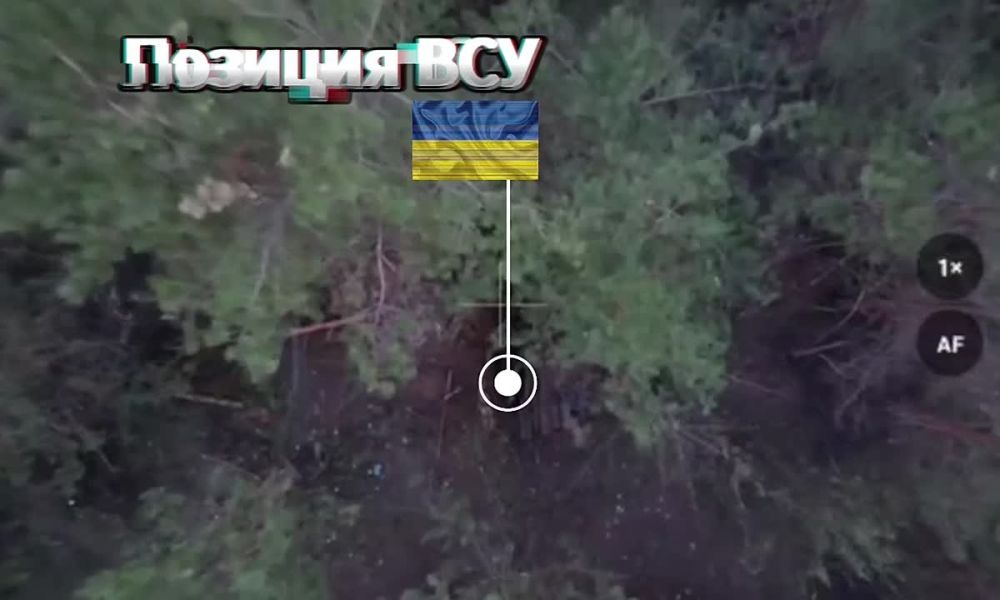 ��������� 44�� �������� ������� � ������� ��� � ����������� �������