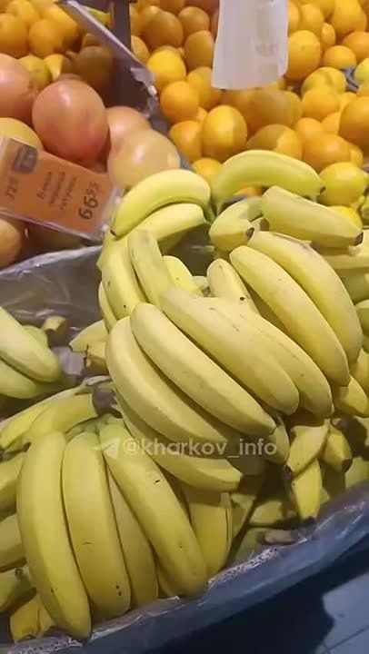 ������, ����������� � ��������� ������ �������, ��� ������, �������� � ����������� �������,- ����������� �����������