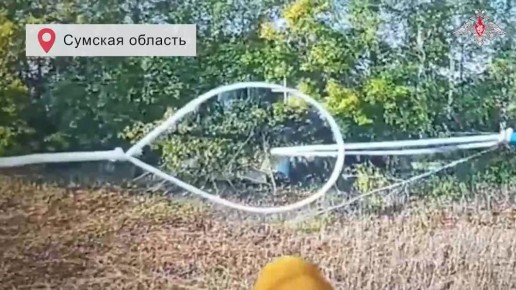            !