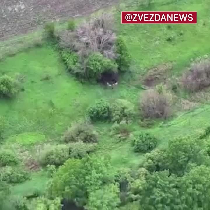 ���� ������ ����� �������� ������� ����������, ������� ��������� ��� ������� � ���� � ��� ����������� �������� ���������� ��������� ������ ����������