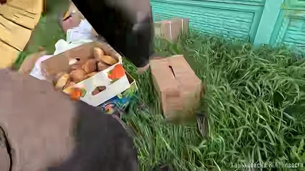 ������-����������� �������������� ������������ �������� ����������� ������� � ������� ����� ������� ������������� ���������� ������ ������� ����������� �������