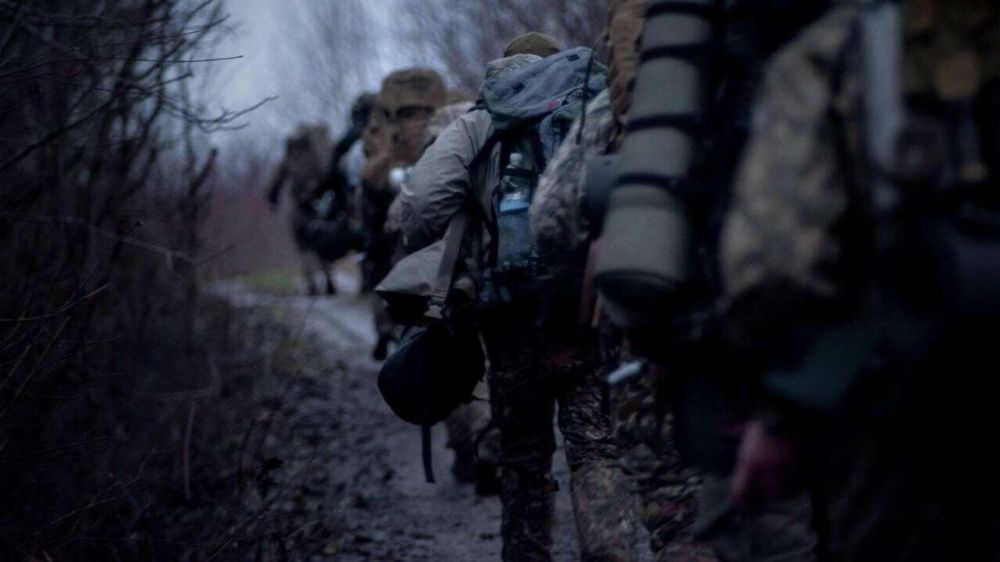 Новости СВО: киевский режим потерял еще более 1200 боевиков за сутки