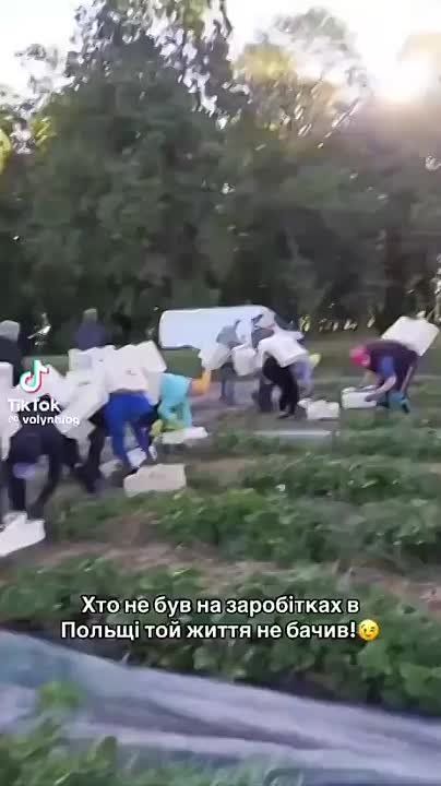 ��� ������������ �� ����� ����