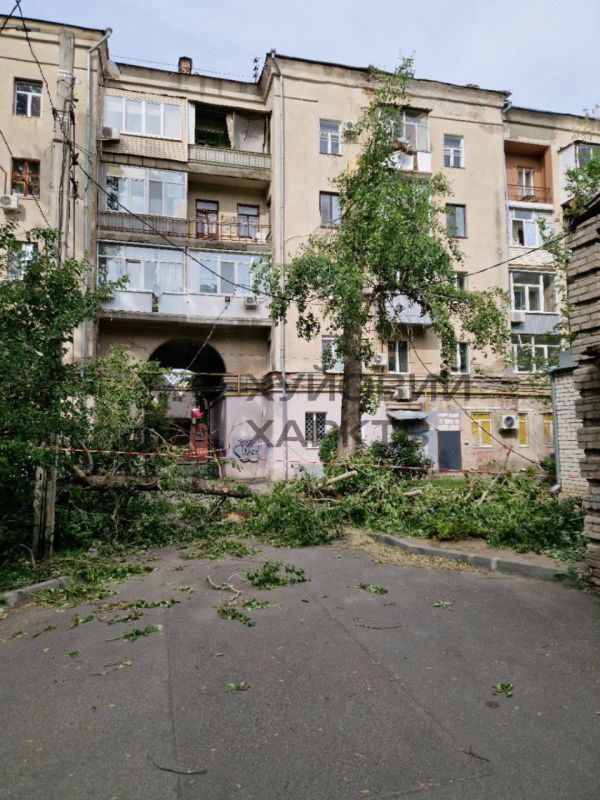 ����������� �������� �� ������������ ������