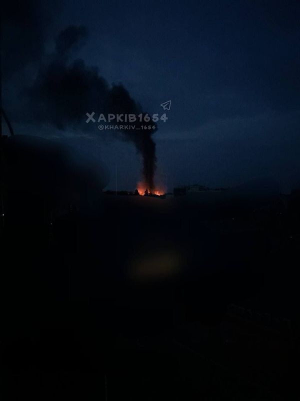 ������� ������ �� ���������� ������� 29-30 ��� 2025 ����