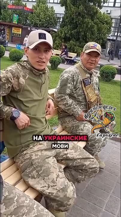 �������. ����� ������. ������� ����������� "���������"