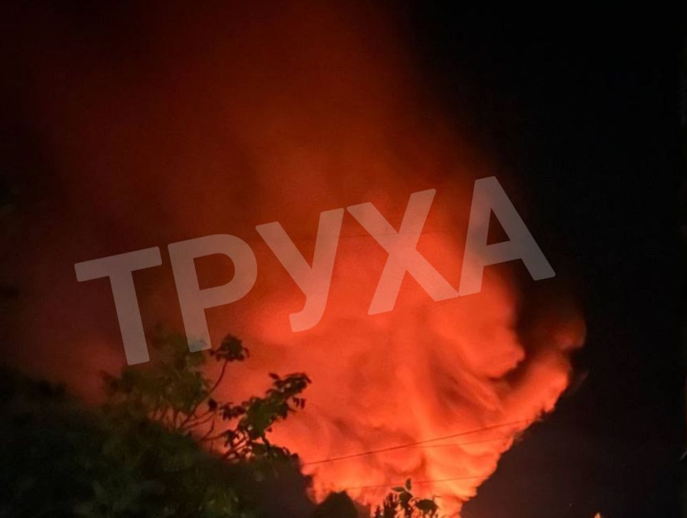 01 ���� 2025 ����.. � 00:00 ������ ������� ������� - �����. ������/�������