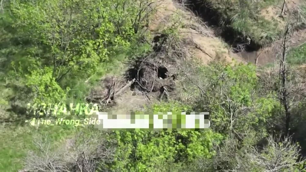 ����������� 105-�� ����������� ������� L119 FPV-������ "������" � ������ �������� ����������� �������