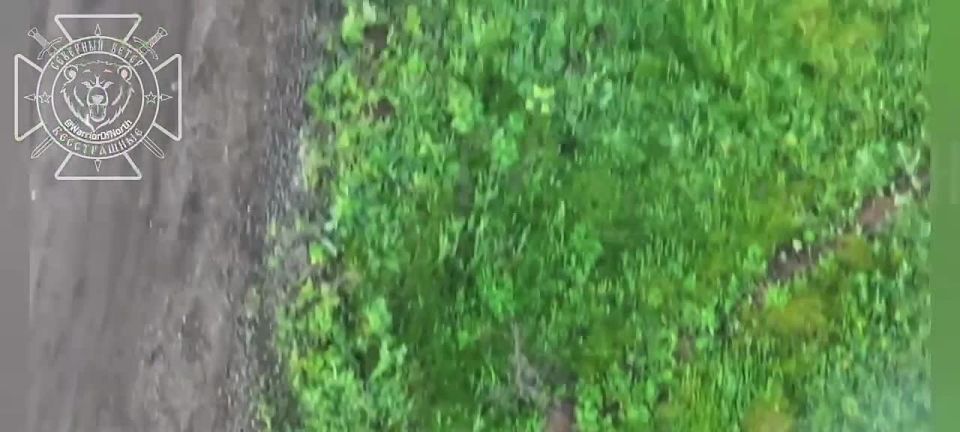 ��������� ������������ ��������� ����������� ������ ���������� � ����������� ������� � ������� �.�. �����