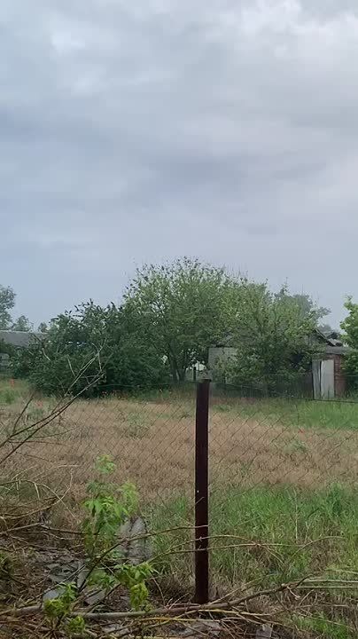  :    &quot;&quot;     ..   