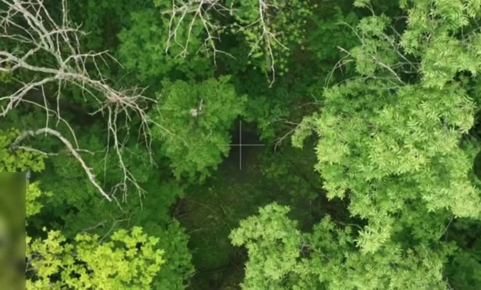 ��������-����� ��� �������� ��� �����