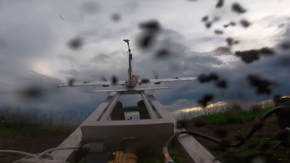 ��������� � ���������: ����� ����������, ��� ��� ������� �� ����� �����