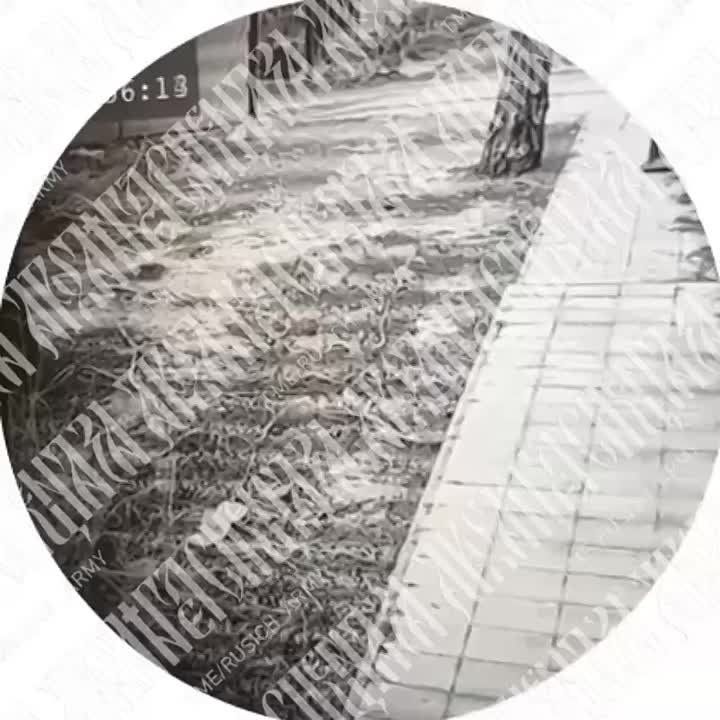 �������� �� ���������� ���������