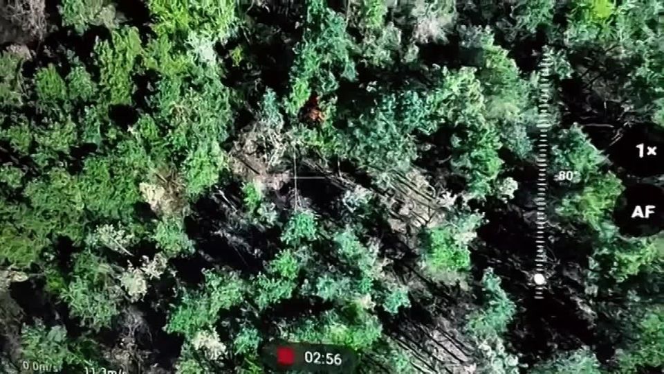 ��������� ��������� �������