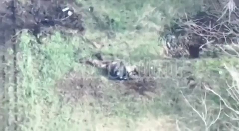 ����� � ������� �� ������ ���������� ���������� �� ��������� �����������