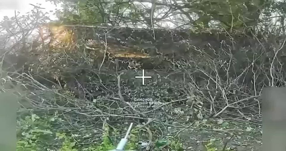  :          