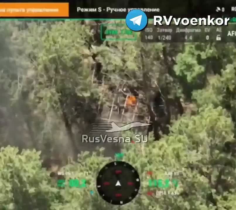   :   ,        