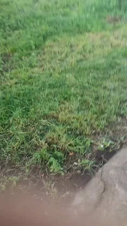 � ���� ������� ������ ��� ��� ��������� ������� ������, ���������� � ������� �����, ���������� �����