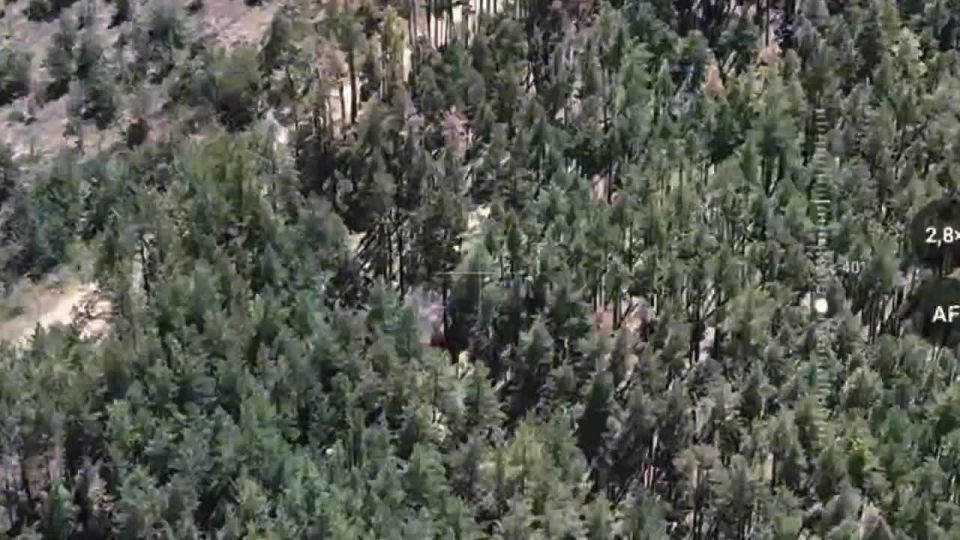 ��������� ������� ������������ �� ���������