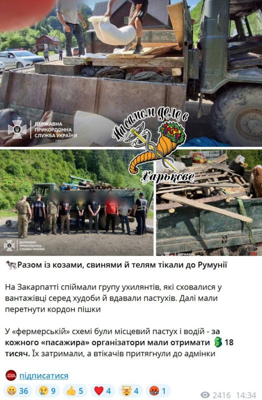 "����� ��, ����� - �� ������"