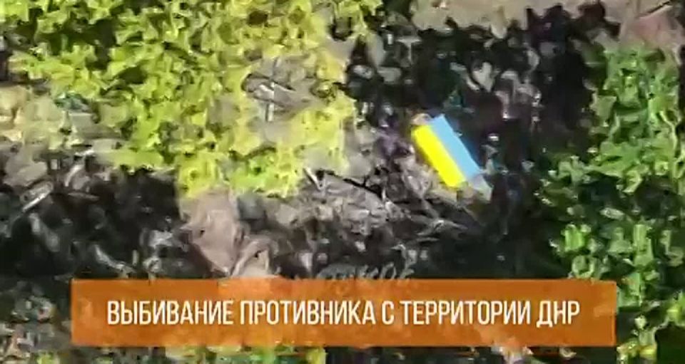 ���� �� ������ ������ ����������� ������� ���������������� ������� �� ��