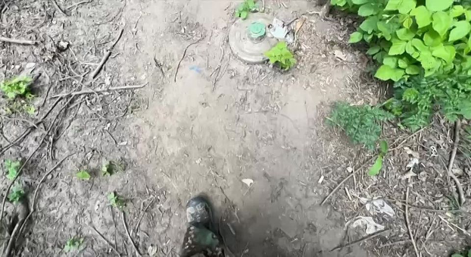  :   ,   :    !?!?