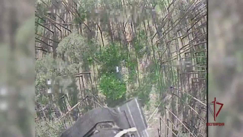 ������������ ���������� ������� ���������� �� ����������� �����������