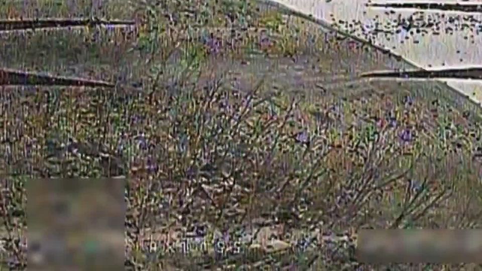 ������ � �������. ����� ����������� ��������� ��� 41 ��� 44 �� ������� ���������� ������������� � ����������� �������