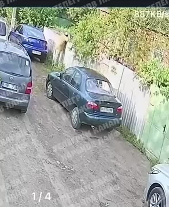 ��������, �.�������.. ������...������ ���� �������� ������� ������� ��� �����