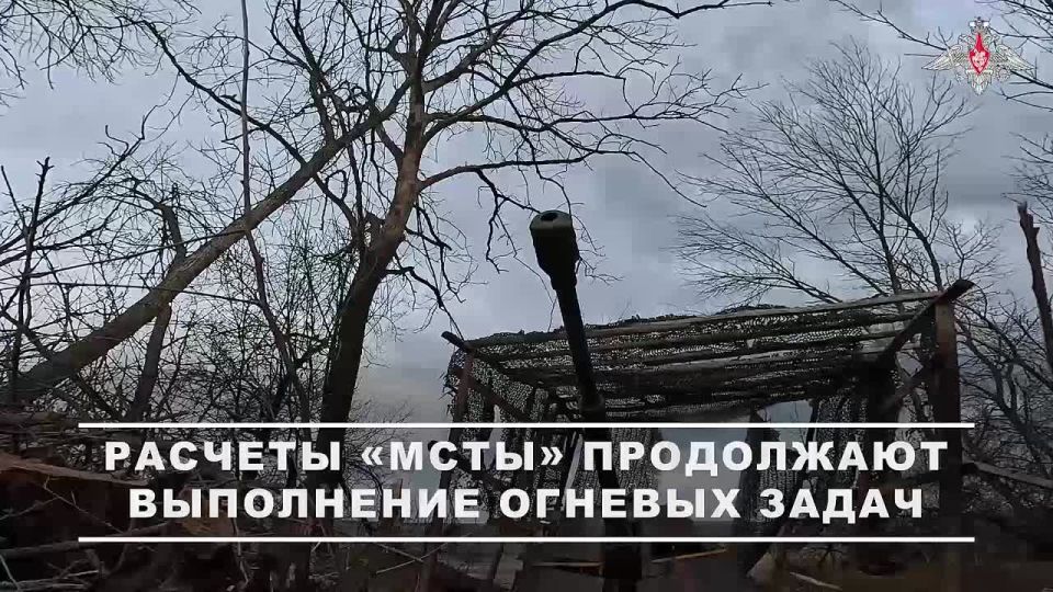  :   -ѻ          - 