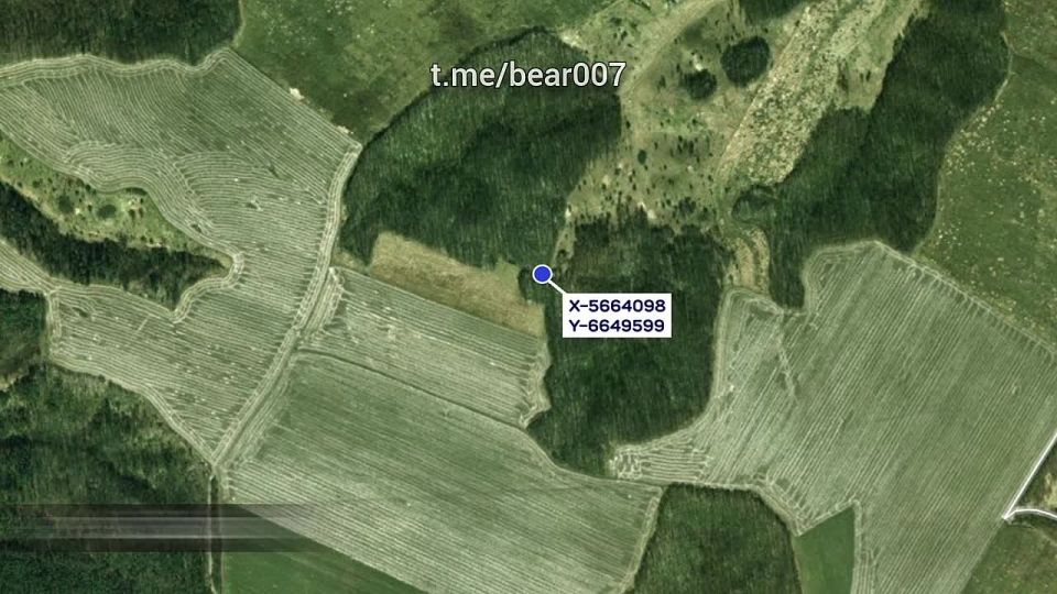 Отряд "Анвар" зачищает буферную зону Харьковской, Сумской и Черниговской областей от украинских боевиков: