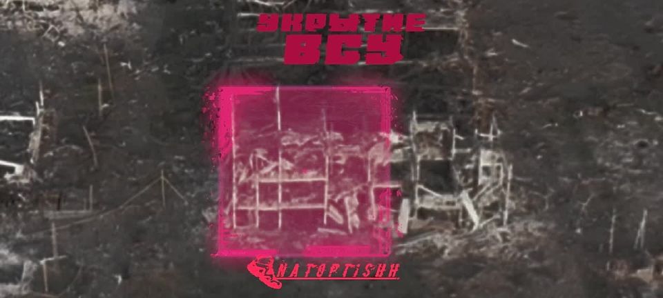 ������� ��������� ������ � ��������� ��� � ���������