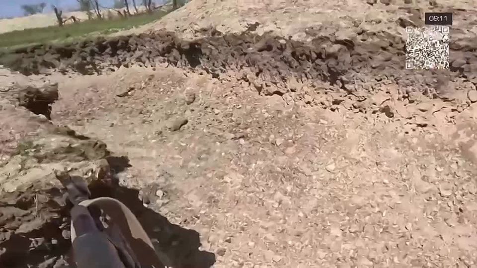       !    ,      ,   