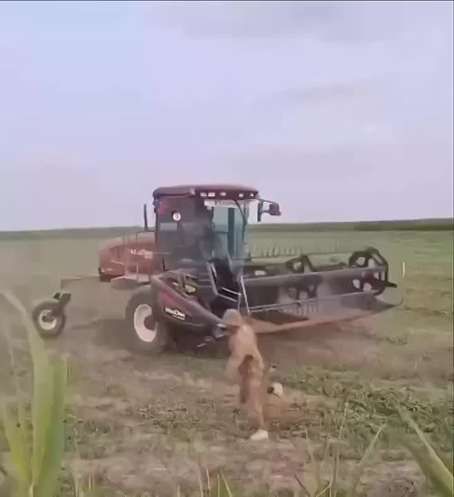 ��, �� ������!. ������� ���������� ���������� � ��� ������ �������� ����������