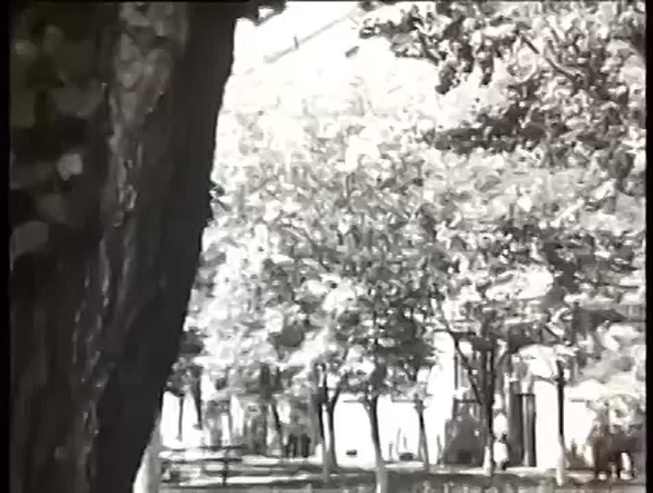   1974 